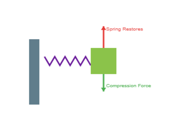 5.9 Common Forces